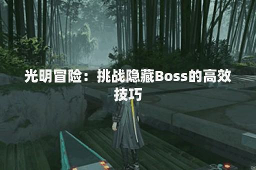 光明冒险：挑战隐藏Boss的高效技巧