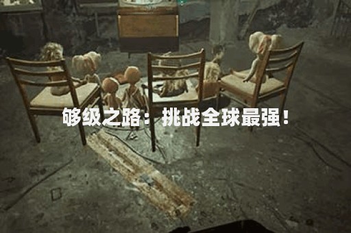 够级之路：挑战全球最强！
