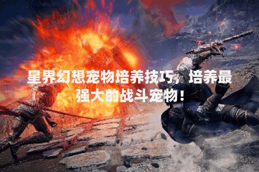 星界幻想宠物培养技巧，培养最强大的战斗宠物！