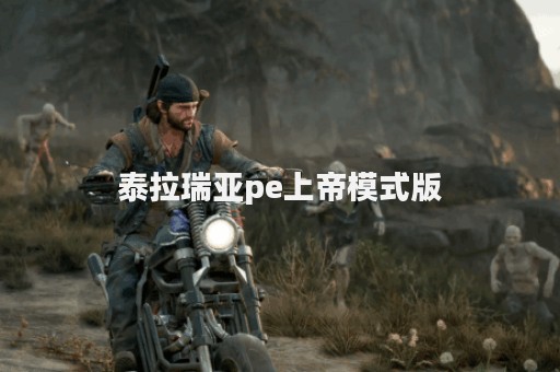 泰拉瑞亚pe上帝模式版