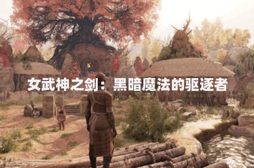 女武神之剑：黑暗魔法的驱逐者