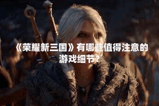 《荣耀新三国》有哪些值得注意的游戏细节？