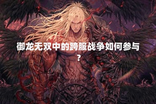 御龙无双中的跨服战争如何参与？