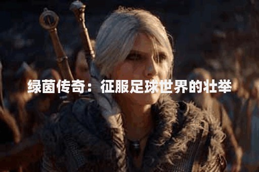 绿茵传奇：征服足球世界的壮举