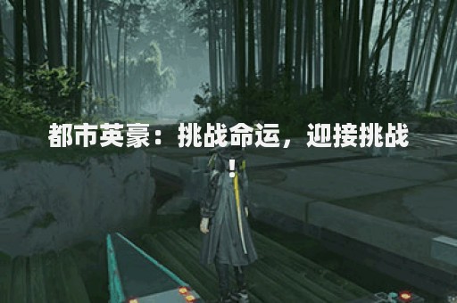 都市英豪：挑战命运，迎接挑战！