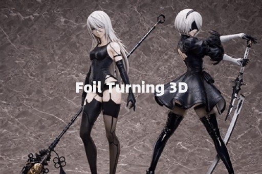 Foil Turning 3D