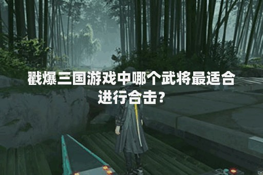 戳爆三国游戏中哪个武将最适合进行合击？