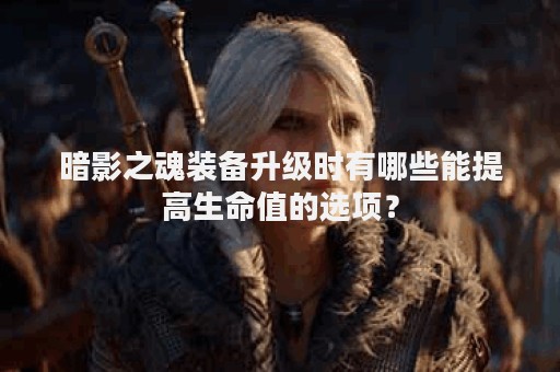 暗影之魂装备升级时有哪些能提高生命值的选项？