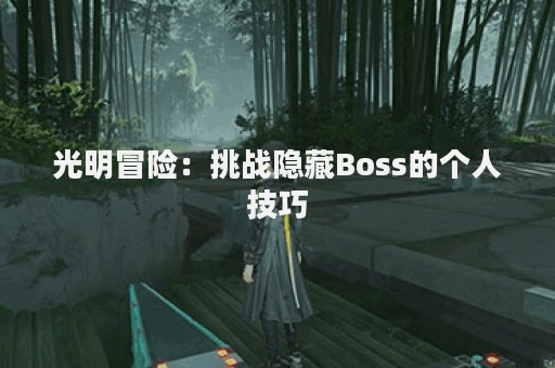 光明冒险：挑战隐藏Boss的个人技巧