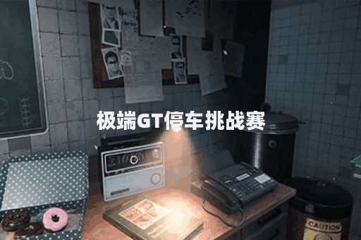 极端GT停车挑战赛