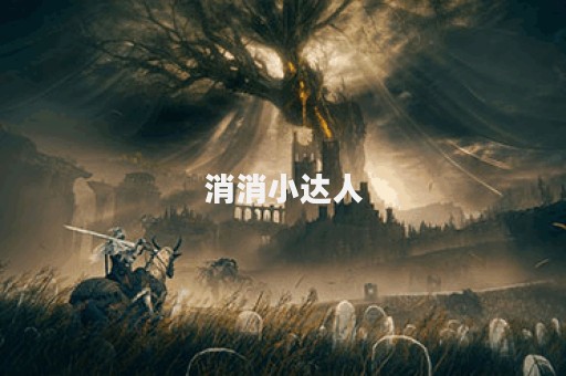 消消小达人