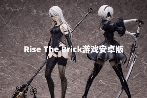 Rise The Brick游戏安卓版
