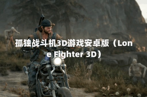孤独战斗机3D游戏安卓版（Lone Fighter 3D）