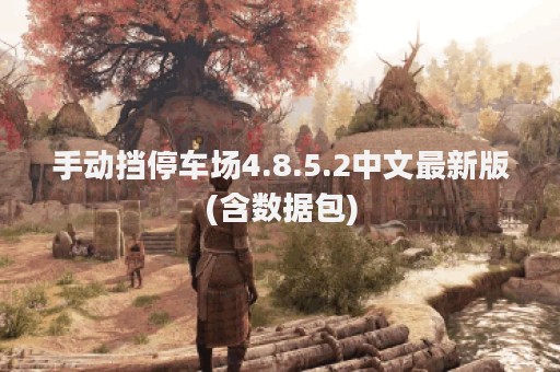手动挡停车场4.8.5.2中文最新版(含数据包)