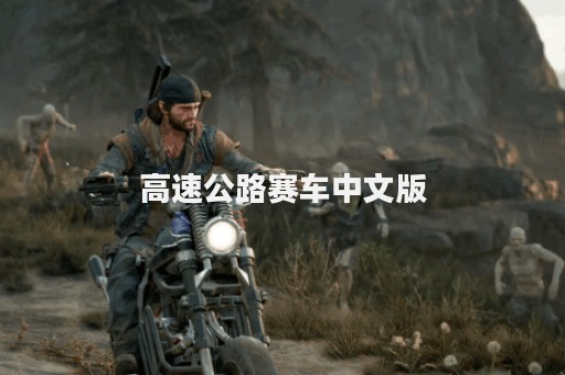高速公路赛车中文版