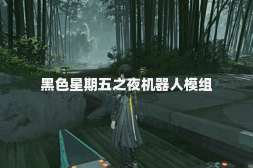 黑色星期五之夜机器人模组