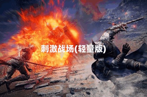 刺激战场(轻量版)