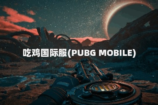 吃鸡国际服(PUBG MOBILE)