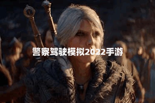 警察驾驶模拟2022手游