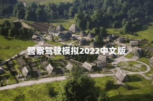 警察驾驶模拟2022中文版