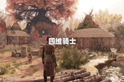 四维骑士