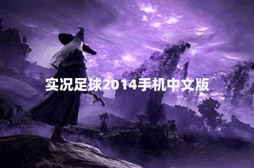 实况足球2014手机中文版