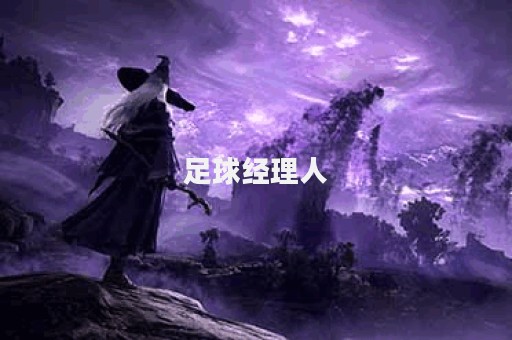 足球经理人