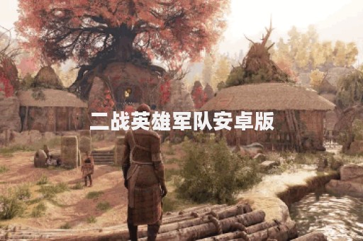 二战英雄军队安卓版