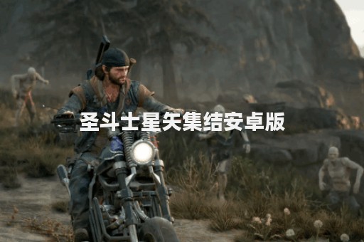 圣斗士星矢集结安卓版