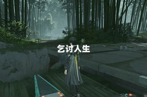 乞讨人生