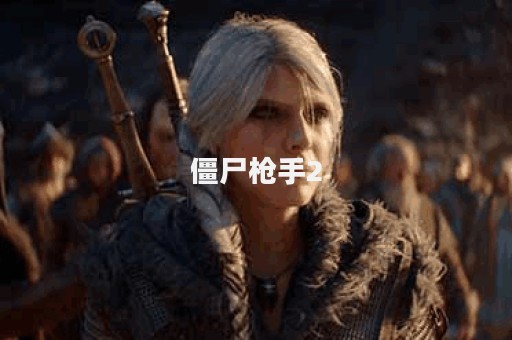 僵尸枪手2