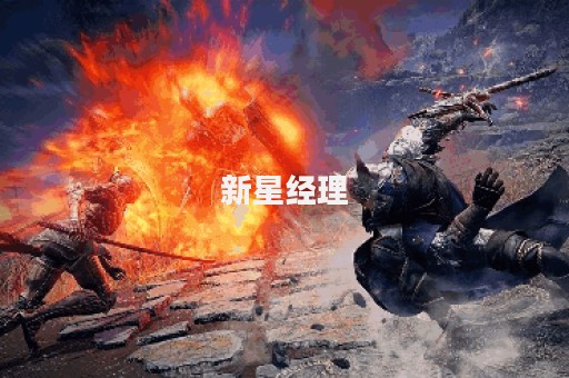 新星经理