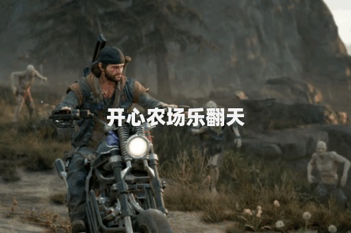 开心农场乐翻天