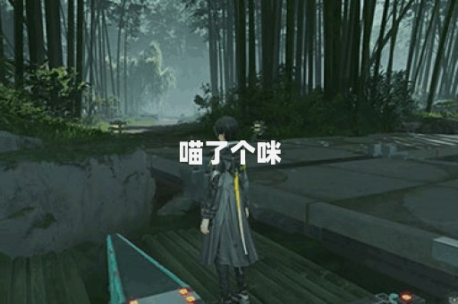 喵了个咪