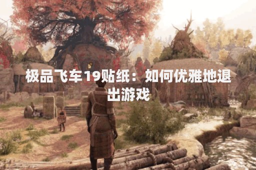 极品飞车19贴纸：如何优雅地退出游戏