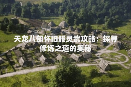 天龙八部怀旧服灵武攻略：探寻修炼之道的奥秘