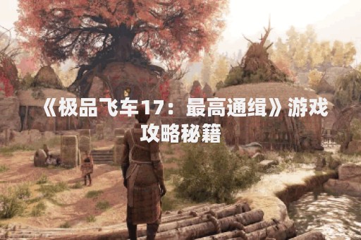 《极品飞车17：最高通缉》游戏攻略秘籍