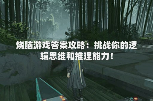 烧脑游戏答案攻略：挑战你的逻辑思维和推理能力！