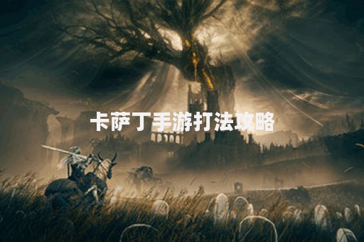 卡萨丁手游打法攻略