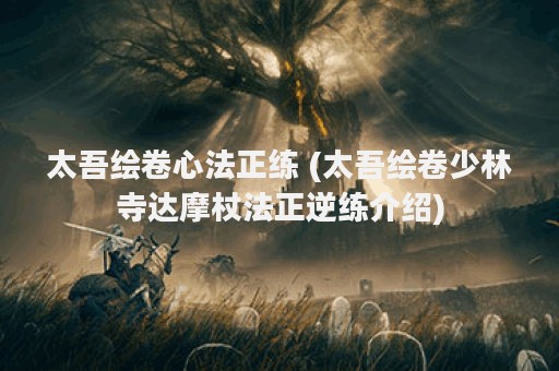 太吾绘卷心法正练 (太吾绘卷少林寺达摩杖法正逆练介绍)