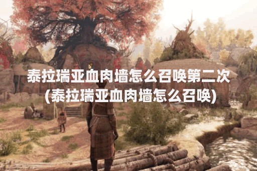 泰拉瑞亚血肉墙怎么召唤第二次 (泰拉瑞亚血肉墙怎么召唤)