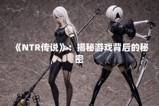 《NTR传说》：揭秘游戏背后的秘密