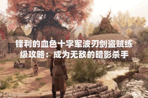 锋利的血色十字军波刃剑盗贼练级攻略：成为无敌的暗影杀手