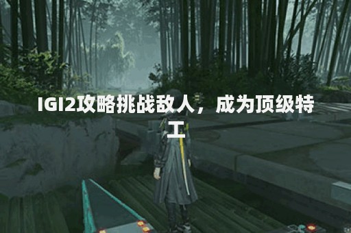 IGI2攻略挑战敌人，成为顶级特工