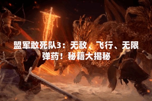 盟军敢死队3：无敌、飞行、无限弹药！秘籍大揭秘