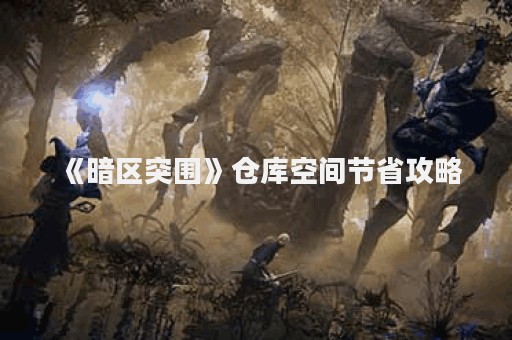 《暗区突围》仓库空间节省攻略