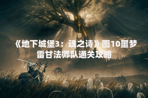 《地下城堡3：魂之诗》图10噩梦雷甘法师队通关攻略