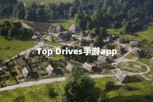 Top Drives手游app