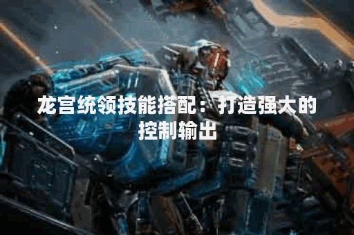 龙宫统领技能搭配：打造强大的控制输出