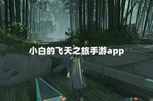 小白的飞天之旅手游app